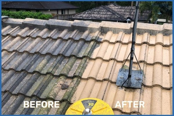 Roof Cleaning Before Vs After (1)