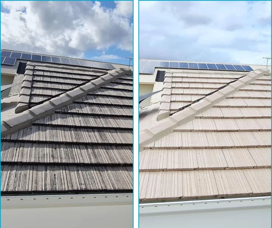 Comparison Before And After Pressure Washing St Helens Roof Solar Panels